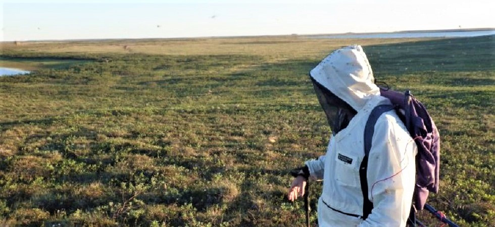 I cambiamenti climatici spaventano più del covid-19, la Fem: “Si scioglie il permafrost e l’effetto serra globale aumenta”